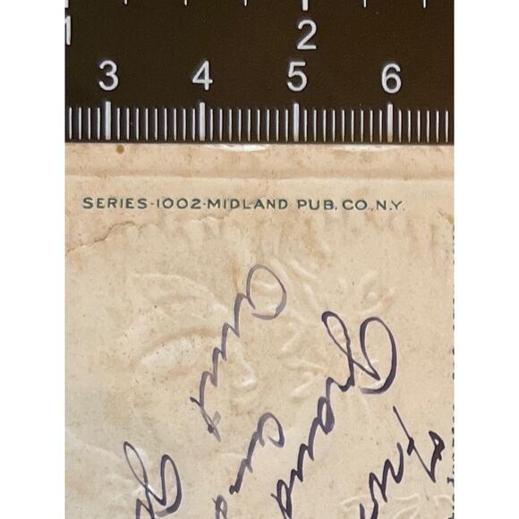 Antique 1916 Ephemera Postcard Embossed Baby New Year Polar Bear Midland Pub Co - Picture 6 of 8